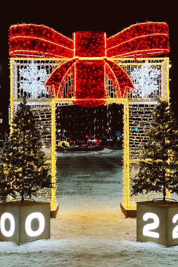 Rendez vos événements inoubliables avec notre arche de noël